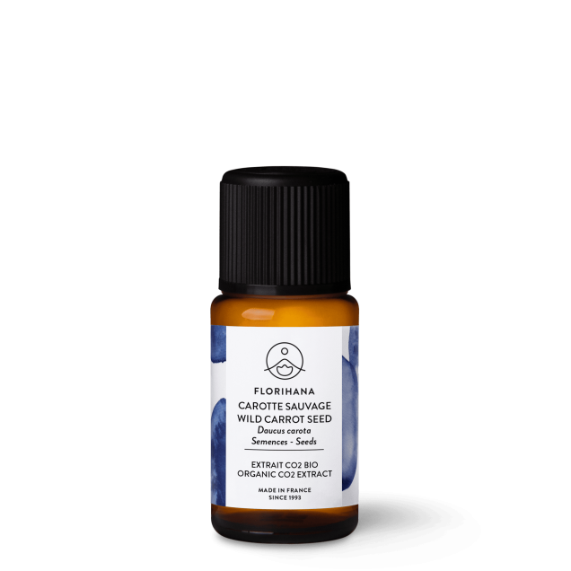 CO2 Extract Wild Carrot Seed Organic (Carrier Oil)